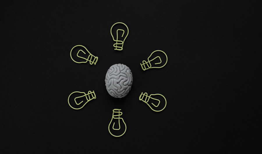 الدماغ والذاكرة